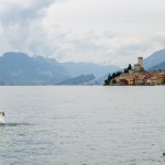 Labuť na jezeru Lago, Malcesine