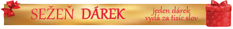 Banner sežeň dárek