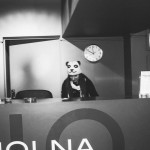 Polska Panda!