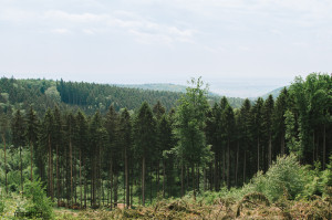 Výhled nad Zavadilkou na Chřibech