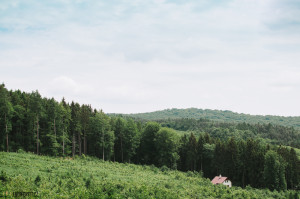 Výhled nad Zavadilkou na Chřibech