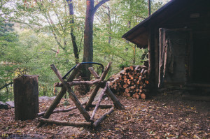 Dřevo u srubu