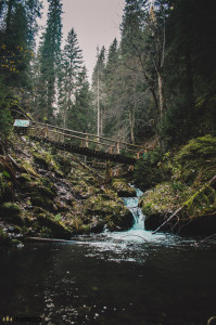 Údolím Bílé Opavy z Karlové Studánky