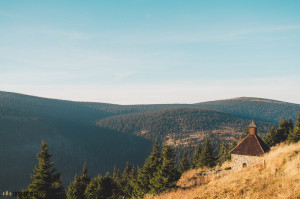 Vřesová studánka v Jeseníkách