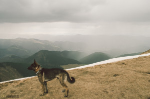 Velká Chochuľa, Nízké Tatry