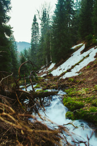 Tajch Tatry