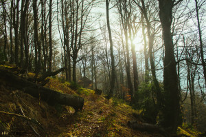 Tajch Tatry