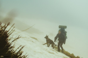 Nízké Tatry se psem