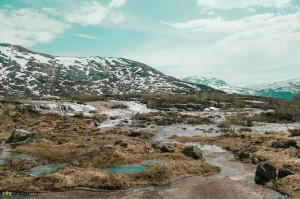 Příroda v Norsku