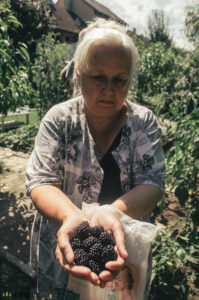 Malinoostružiny Tayberry